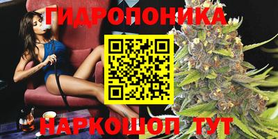 PSILOCYBIN Пенза