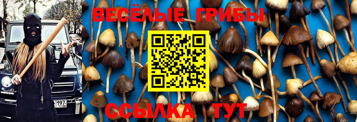 Галлюциногенные грибы Psilocybine cubensis Соликамск